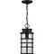 Progress Lighting Port Royal Collection One-Light Hanging Lantern with DURASHIELD P550061-031 - alternate 2